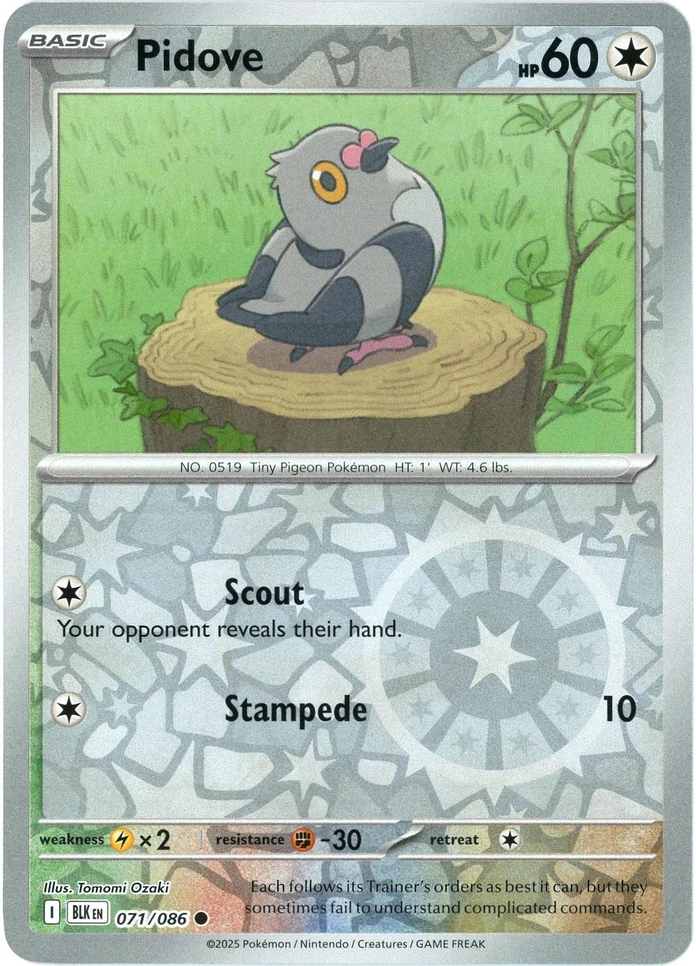 Black Bolt Pidove [Reverse] Pokémon card